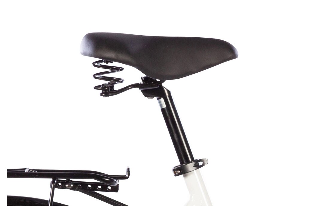 Passat Porto - 28 Zoll - Tiefeinsteiger - Aktion