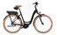 Riese und M&uuml;ller Swing5 r&uuml;cktritt - 500 Wh - 26 Zoll - Tiefeinsteiger - 2027