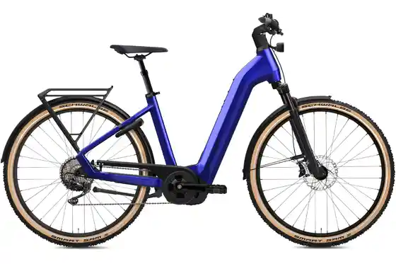 Bosch Performance Line CX Smart - E-Bike-Pedelec - Flyer G1 Gotour 7.12 XC - 750 Wh - 28 Zoll - Tiefeinsteiger