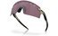Oakley Encoder Strike V Fern Swirl - Prizm Road Black