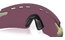 Oakley Encoder Strike V Fern Swirl - Prizm Road Black