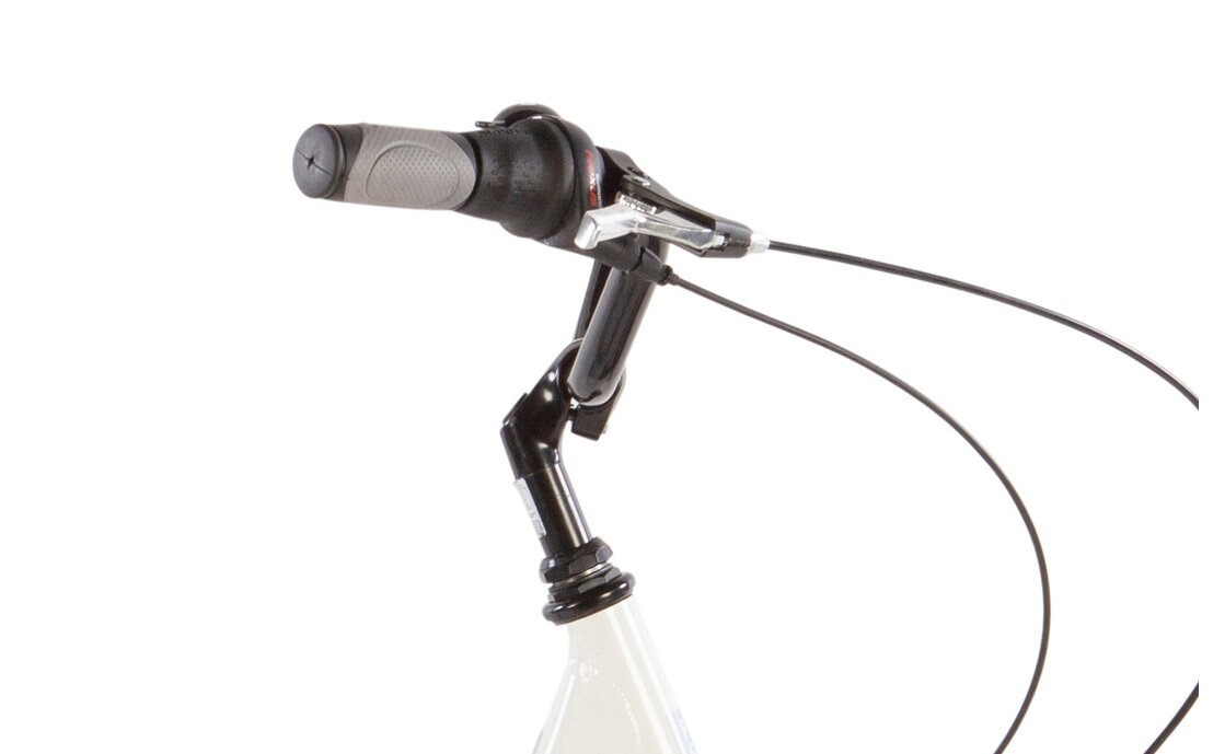 Passat Porto - 28 Zoll - Tiefeinsteiger - 2026