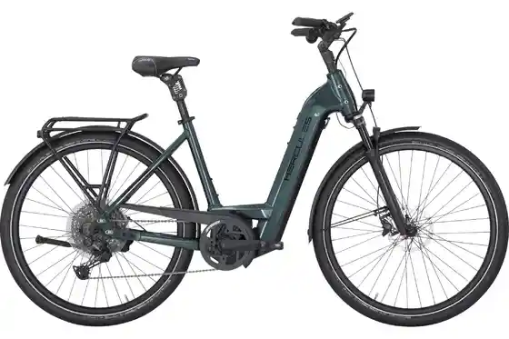 E-Bike Trekking - Hercules Futura HD I-11 - 750 Wh - 28 Zoll - Tiefeinsteiger