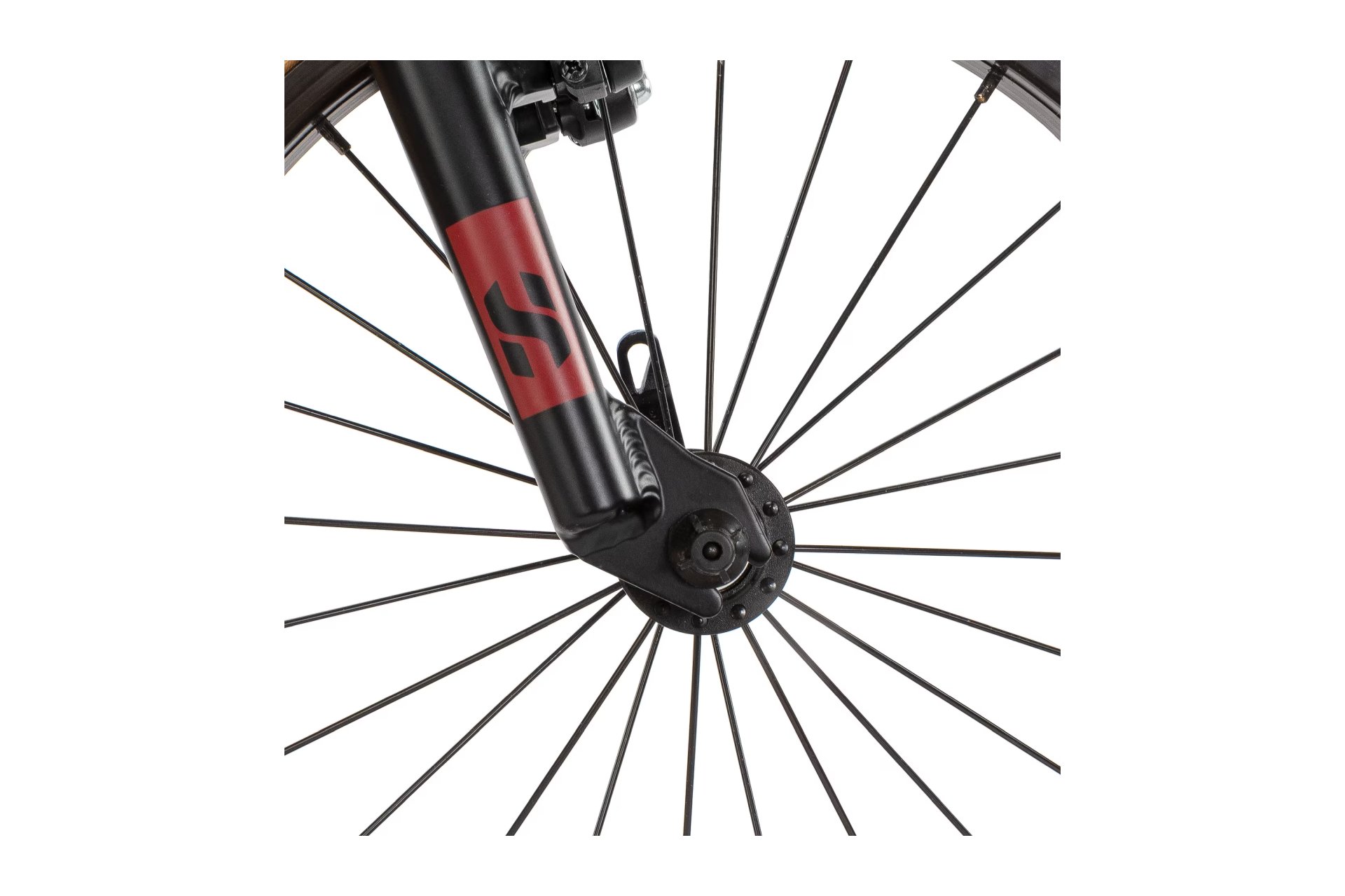 Eightshot Coady 16 SL - 16 Zoll - Diamant - 2026