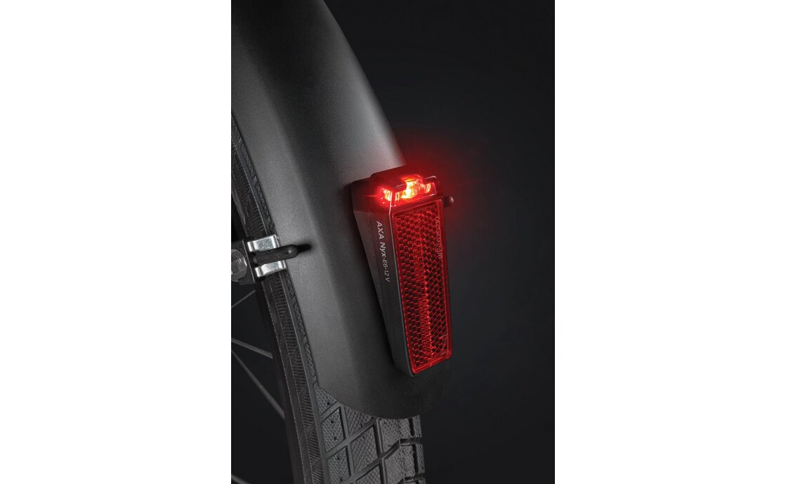 AXA Nyx mit Bremslichtfunktion Rücklicht für E-Bike 6-12 V