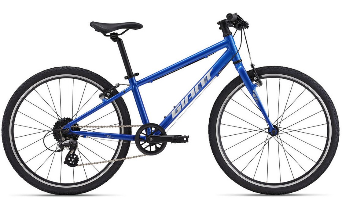 Giant ARX 24 - 24 Zoll - Diamant