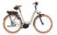 Riese und M&uuml;ller Swing5 r&uuml;cktritt - 500 Wh - 26 Zoll - Tiefeinsteiger - 2027