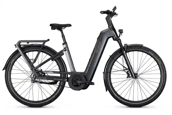 E-Bike-Pedelec - Kalkhoff Image 5+ Move - Kiox 300 - 800 Wh - 29 Zoll - Tiefeinsteiger - 2027