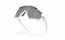 Oakley Wind Jacket 2.0 Matte White - Prizm Black