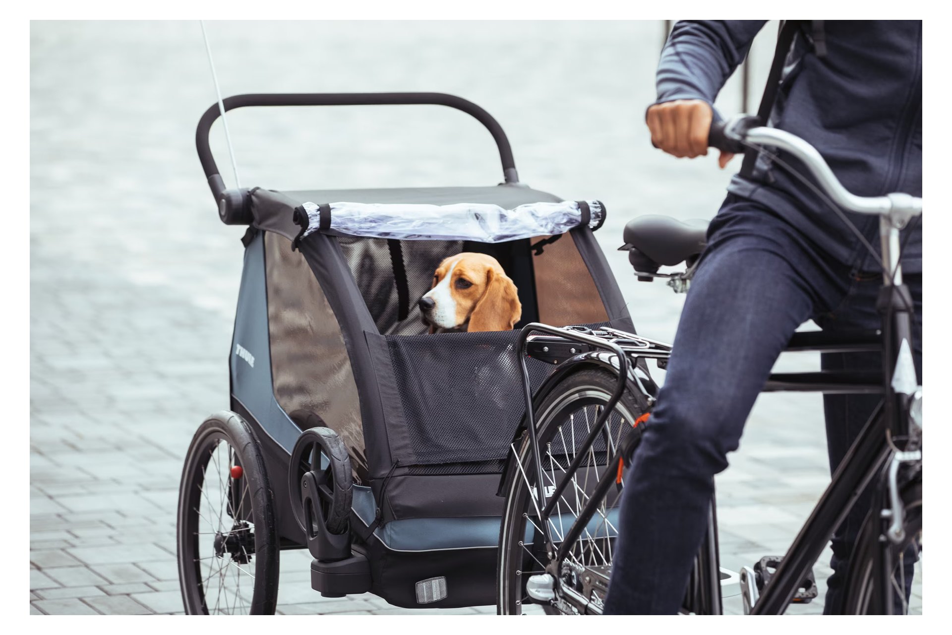 Thule Courier - Pet Accessory