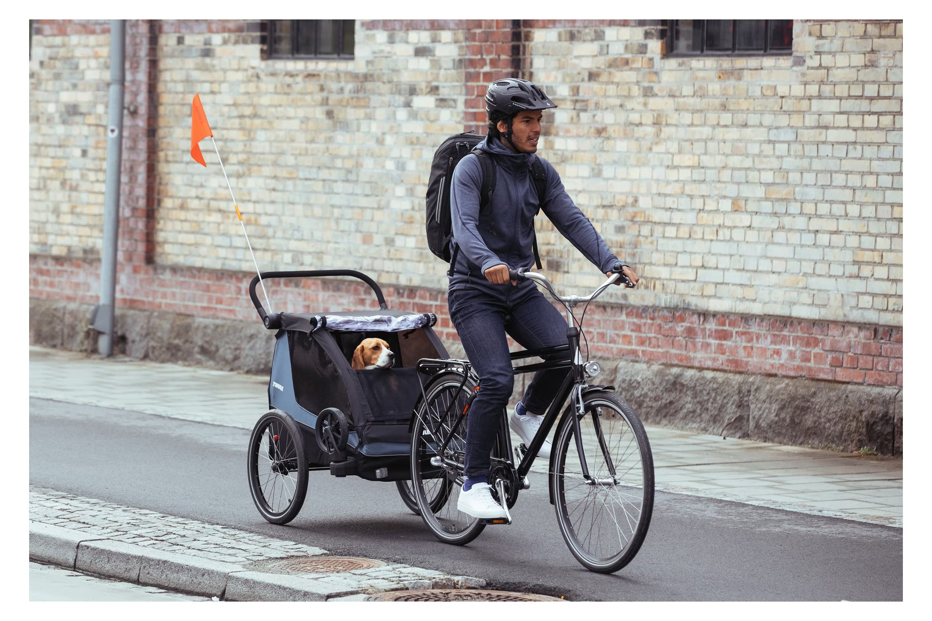 Thule Courier - Pet Accessory