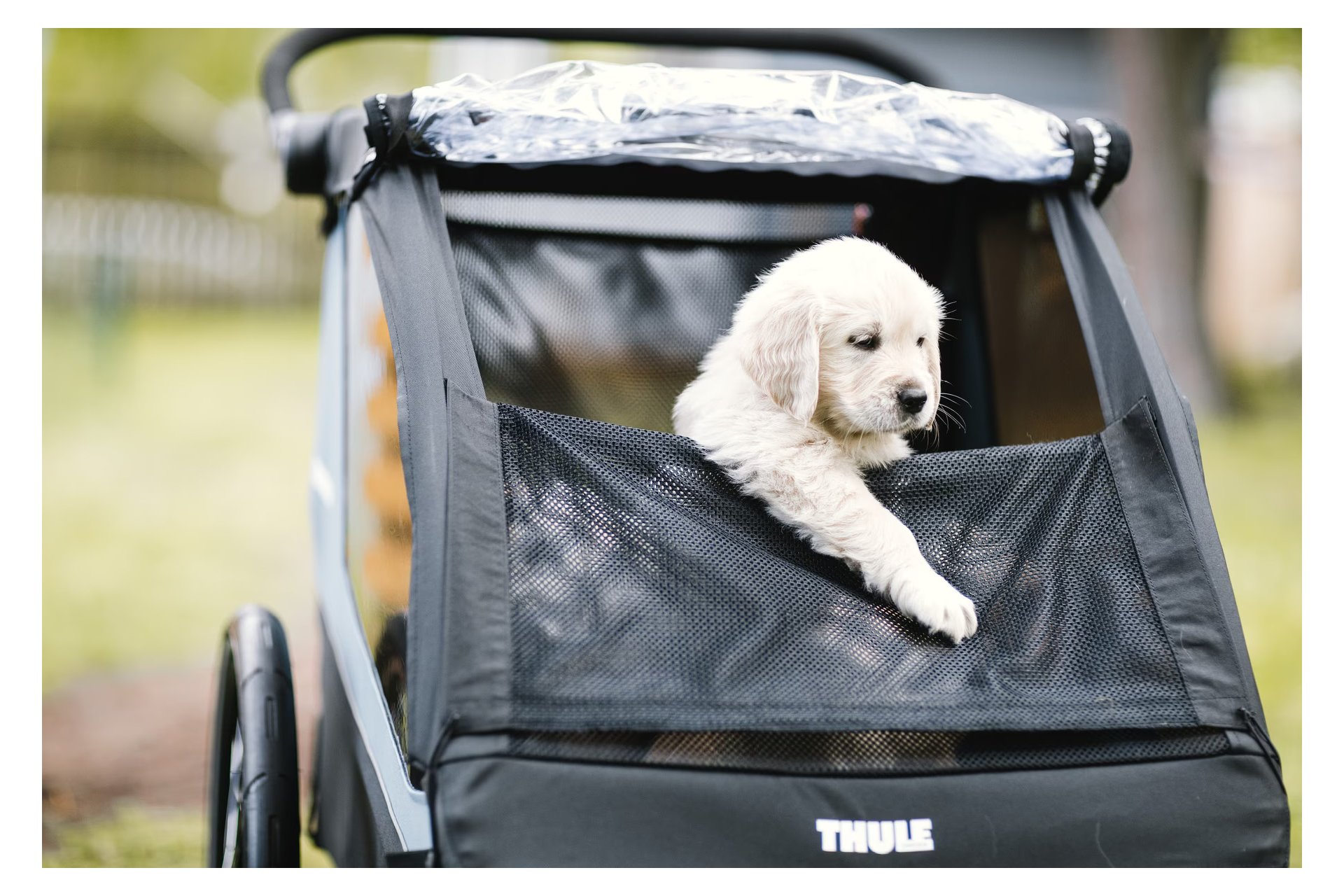 Thule Courier - Pet Accessory