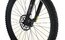 Carver Strict E.400 LTD - 400 Wh - 29 Zoll - Diamant