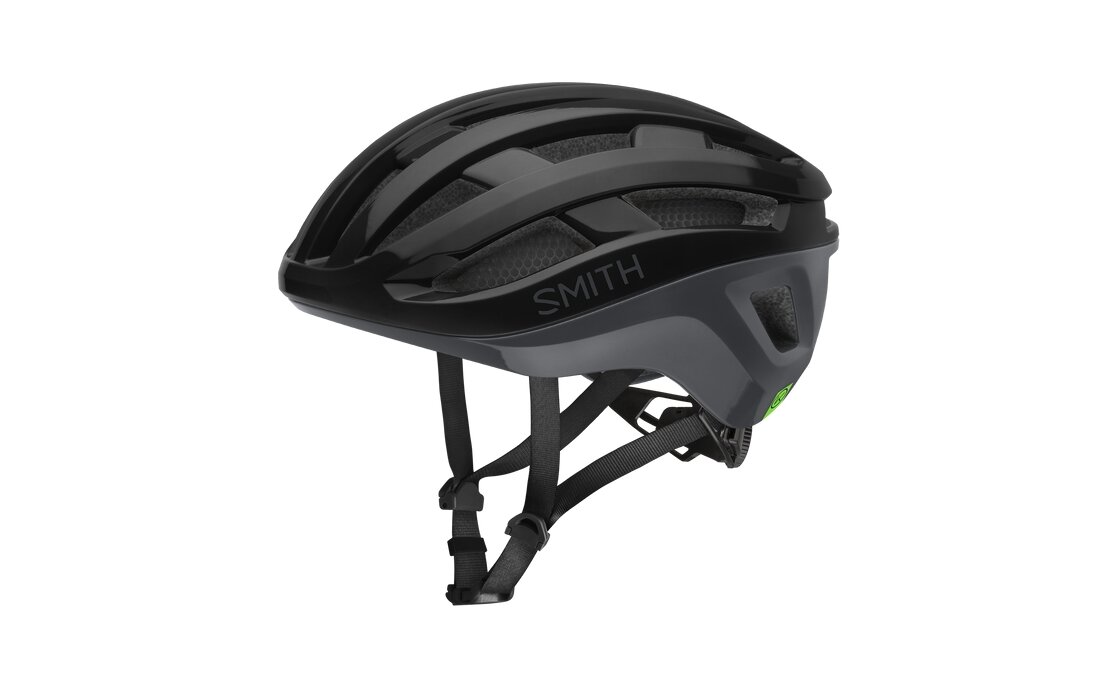 Smith Persist 2 MIPS