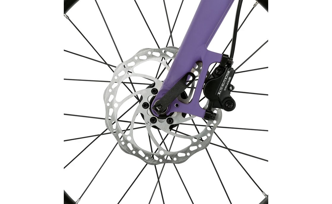 Eightshot Coady 20 SL Disc - 20 Zoll - Diamant - 2026
