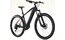 Carver Strict E.400 LTD - 400 Wh - 29 Zoll - Diamant
