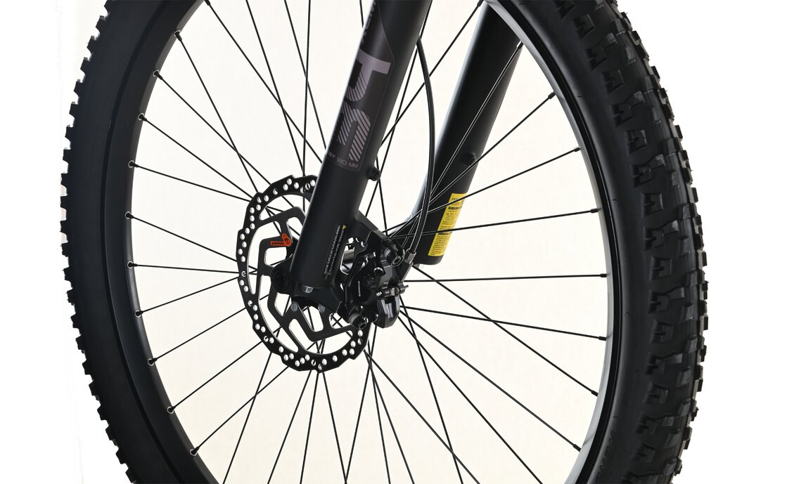 Carver Strict E.400 LTD - 400 Wh - 29 Zoll - Diamant