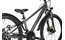 Carver Strict 24 HD Street Girl - 24 Zoll - Diamant - 2024