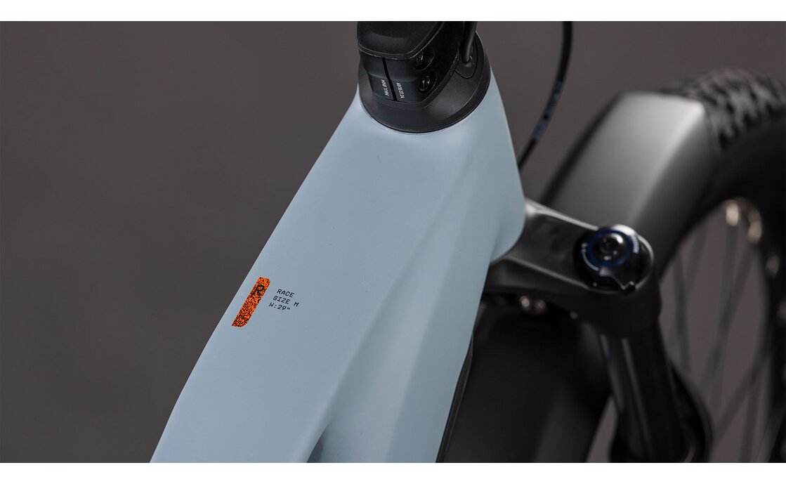 Cube Reaction Hybrid Race 800 FE - 800 Wh - 29 Zoll - Damen Sport - 2026