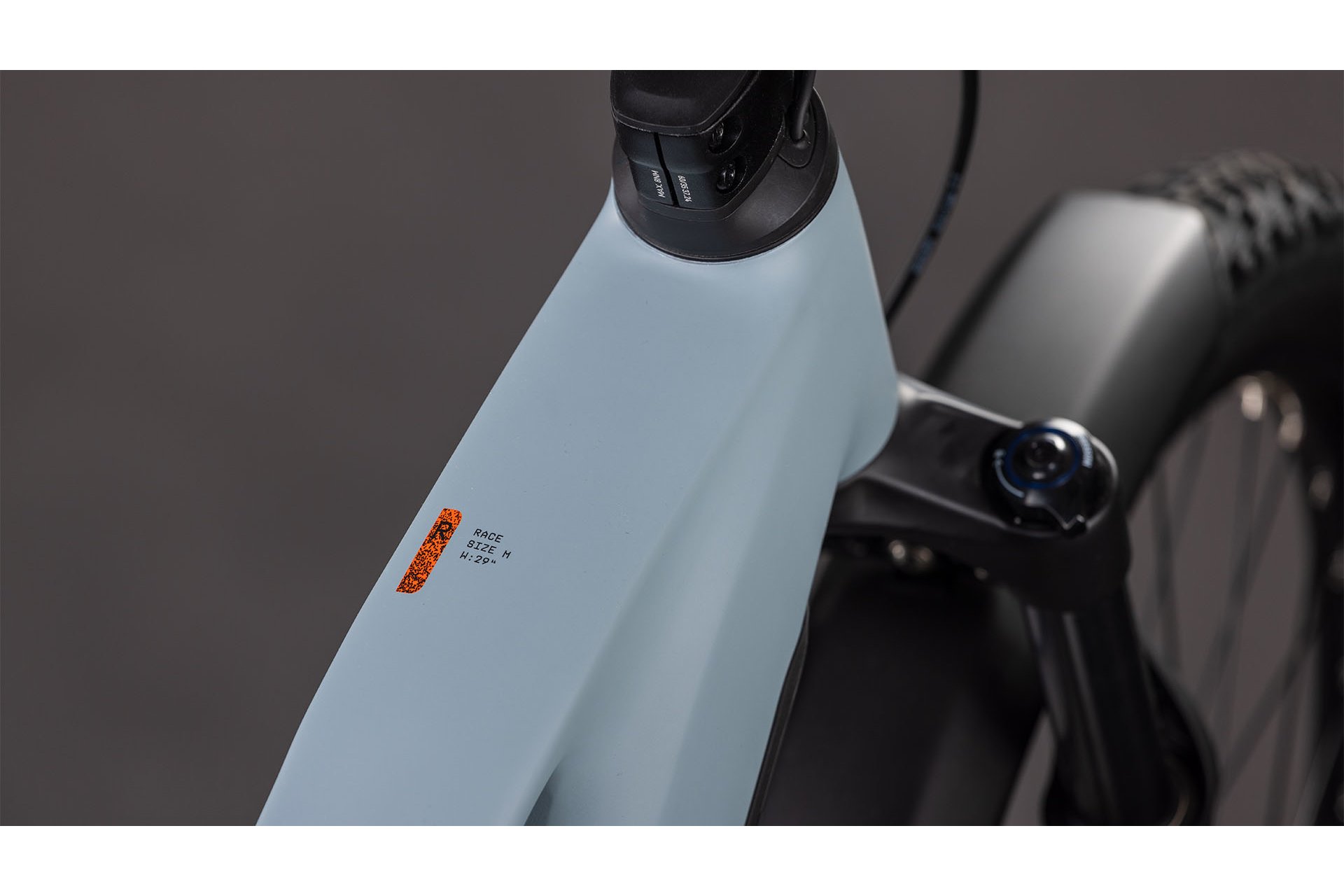 Cube Reaction Hybrid Race 800 FE - 800 Wh - 29 Zoll - Damen Sport - 2026