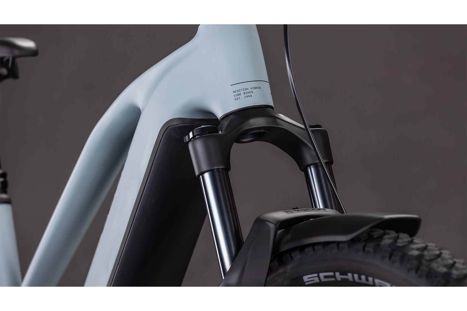 Cube Reaction Hybrid Race 800 FE - 800 Wh - 29 Zoll - Damen Sport - 2026