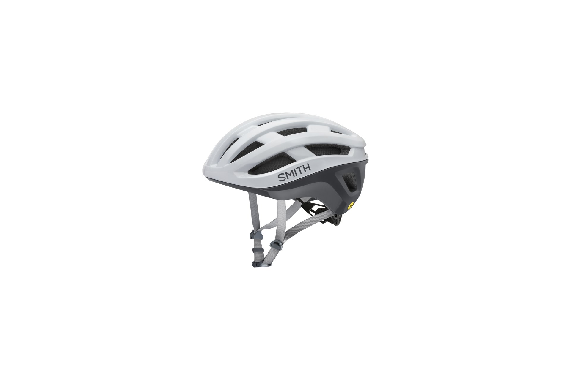 Smith Persist 2 MIPS