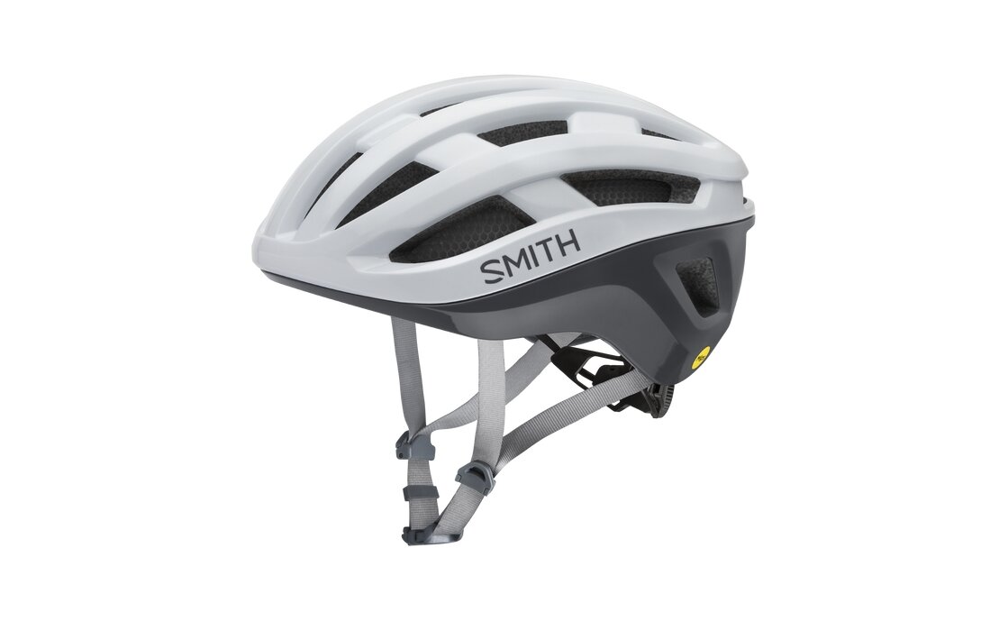 Smith Persist 2 MIPS