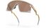 Oakley BXTR PM Matte Terrain Tan - Prizm Tungsten