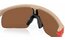 Oakley Resistor PM Matte Terrain Tan - Prizm Tungsten