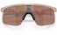 Oakley Resistor PM Matte Terrain Tan - Prizm Tungsten