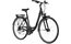 Carver Tour 100 - 28 Zoll - Tiefeinsteiger - 2024