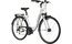Carver Tour 100 - 28 Zoll - Tiefeinsteiger - 2024