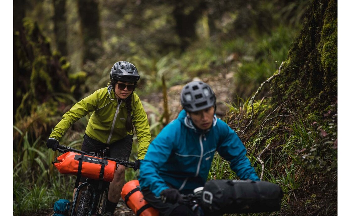 AEROE Spider Lenkergepäckhalterung