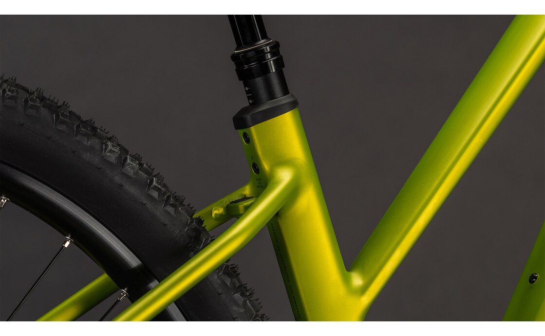 Cube Reaction Hybrid Race 800 - 800 Wh - 29 Zoll - Damen Sport
