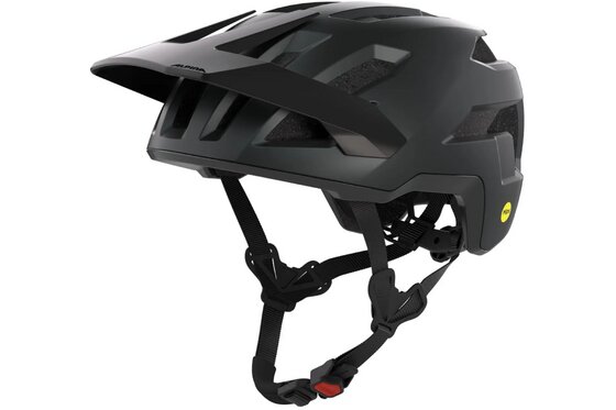 MTB Helme - Alpina Taunus MIPS