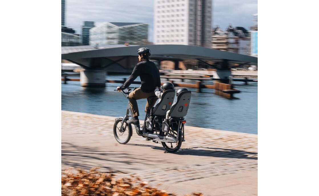 Thule Yepp Nexxt 2 Maxi - Rahmen Montage