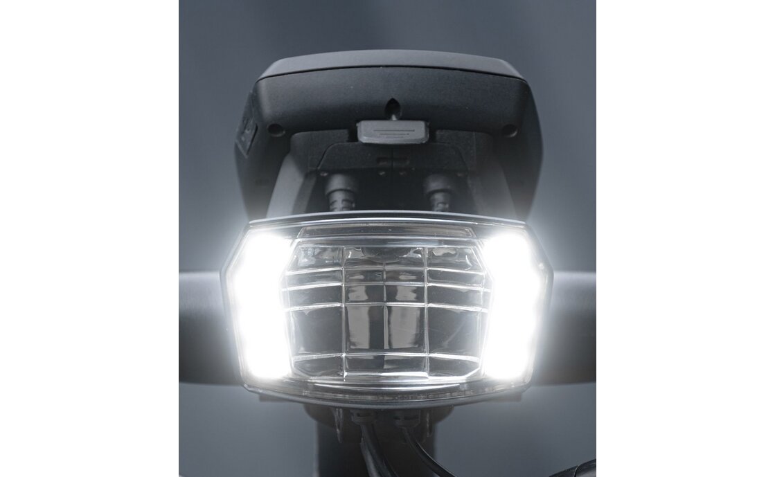 Trelock LS 990 Lighthammer Pro 250 E-Bike Scheinwerfer 12 V - StVZO