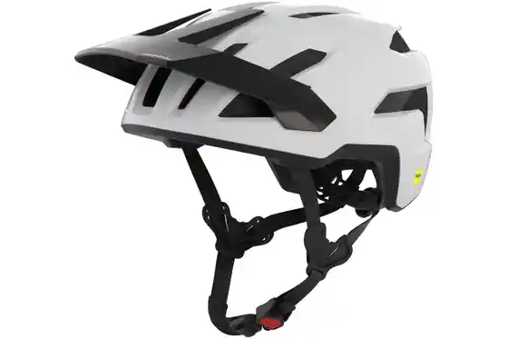 MTB Helme - Alpina Taunus MIPS