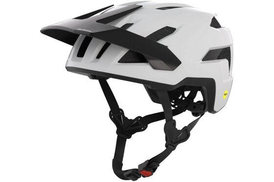 MTB Helme - Alpina Taunus MIPS