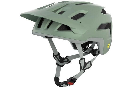 MTB Helme - Alpina Taunus MIPS