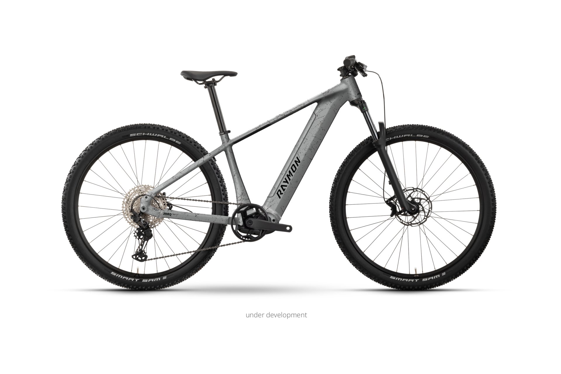 Raymon Zorq Pure - 504 Wh - 29 Zoll - Diamant