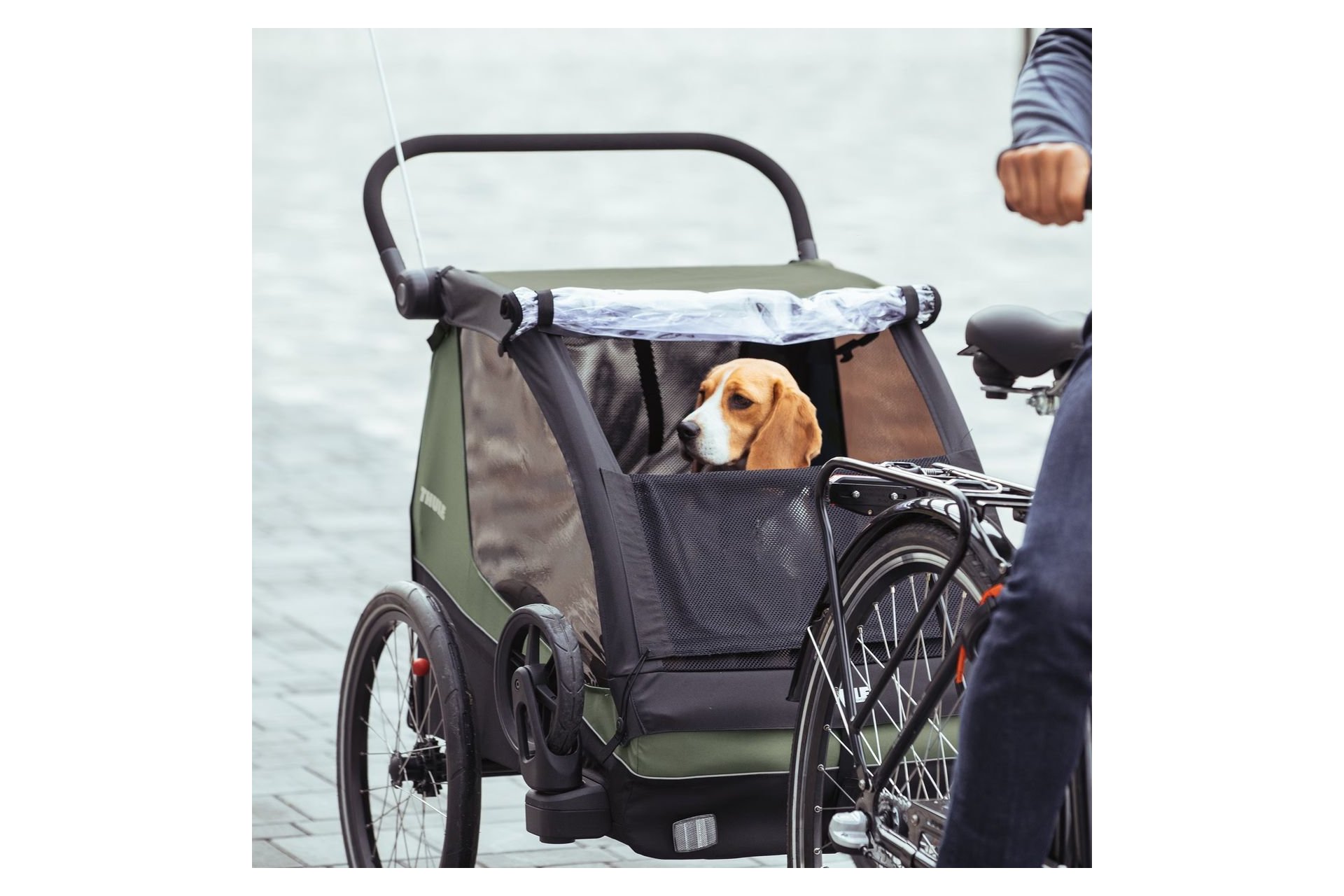 Thule Courier
