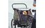 Thule Courier