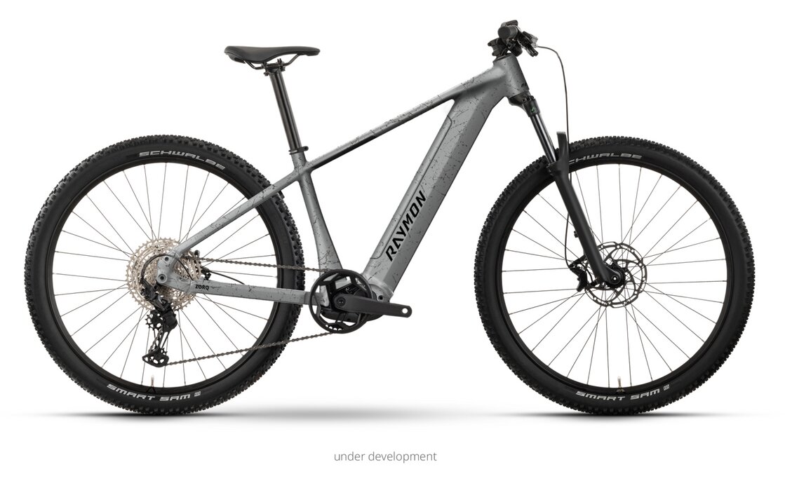 Raymon Zorq Pure - 504 Wh - 29 Zoll - Diamant