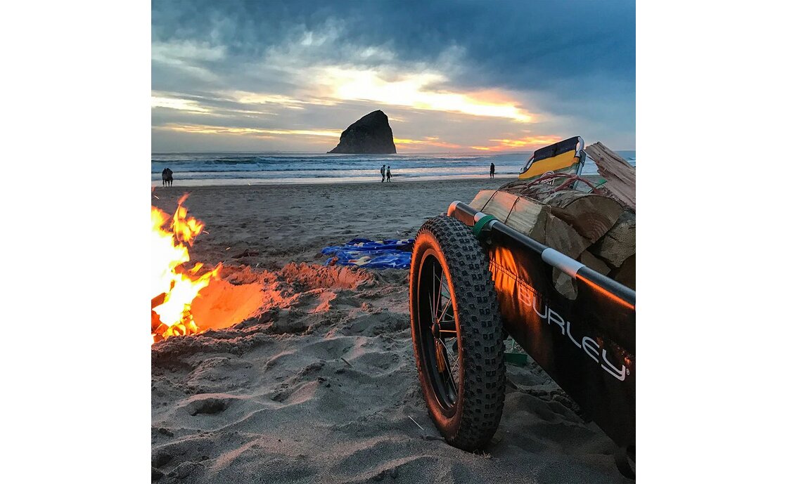 BURLEY Fahrrad-Lasten-Anhänger Flatbed