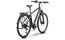 Raymon Zayn Pro - 28 Zoll - Diamant - 2026