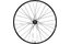 Zipp 101 XPLR Disc CL 27,5" Hinterrad, tubeless, Shim/SRAM