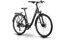 Raymon Zayn Pro - 28 Zoll - Tiefeinsteiger - 2027