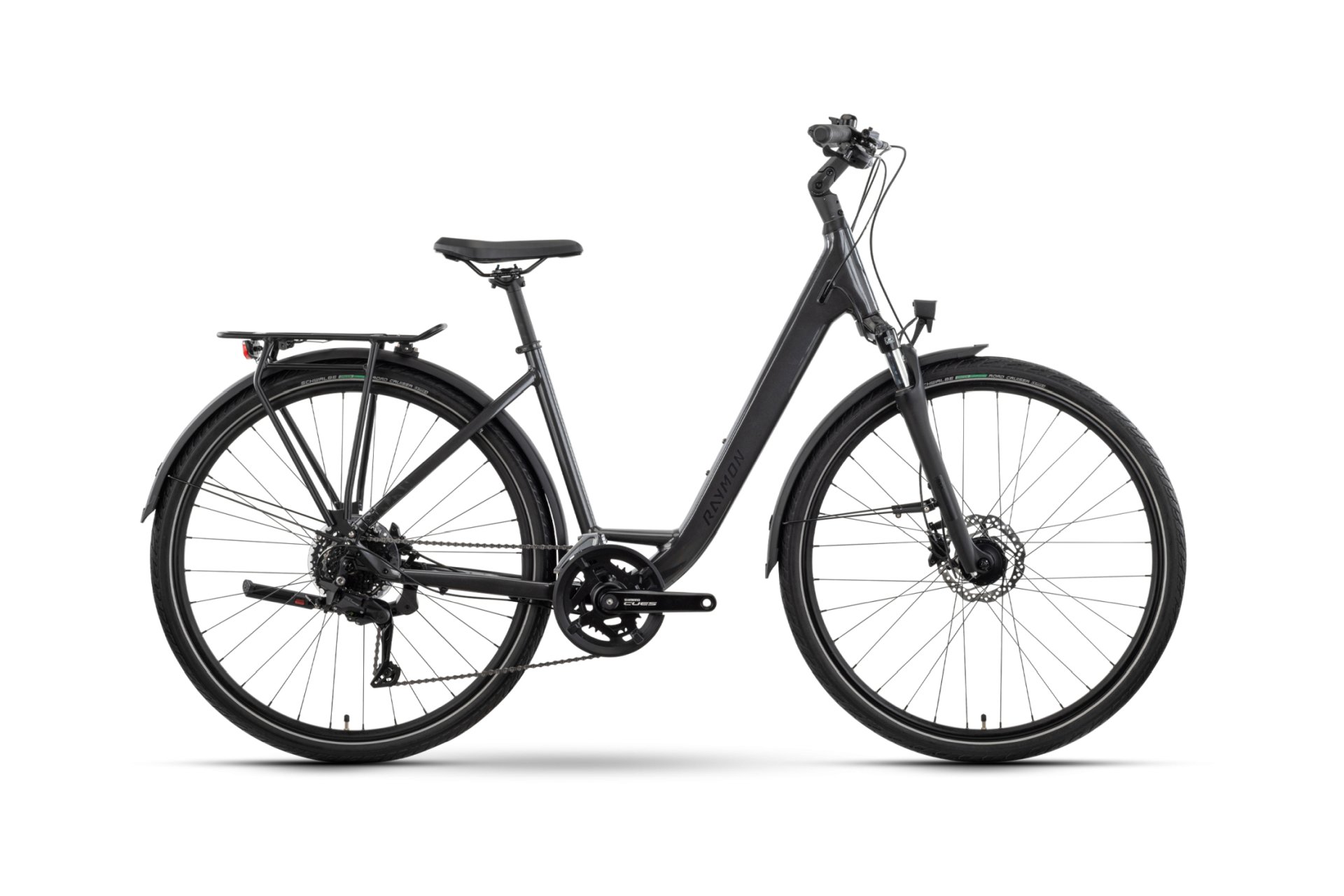 Raymon Zayn Pro - 28 Zoll - Tiefeinsteiger - 2025