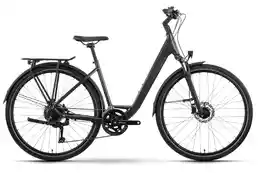 Raymon Zayn Pro - 28 Zoll - Tiefeinsteiger - 2027